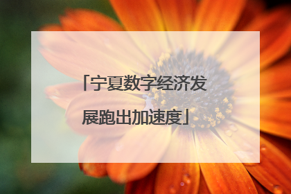 宁夏数字经济发展跑出加速度