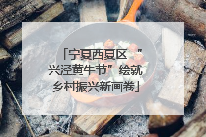 宁夏西夏区 “兴泾黄牛节”绘就乡村振兴新画卷