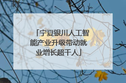 宁夏银川人工智能产业升级带动就业增长超千人