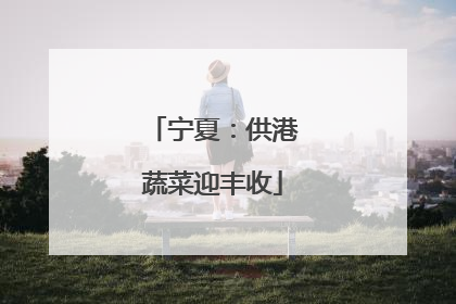 宁夏：供港蔬菜迎丰收