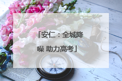 安仁：全城降噪 助力高考