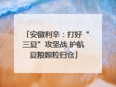 安徽利辛：打好“三夏”攻坚战 护航夏粮颗粒归仓