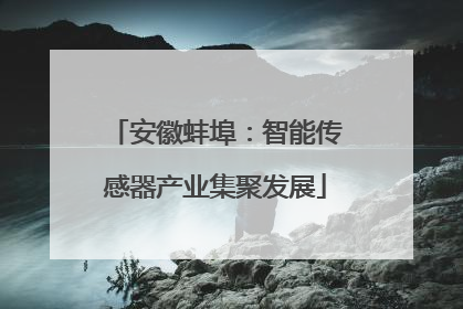 安徽蚌埠：智能传感器产业集聚发展