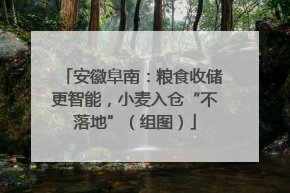 安徽阜南：粮食收储更智能，小麦入仓“不落地”（组图）