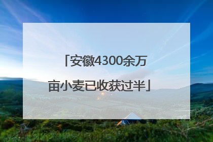 安徽4300余万亩小麦已收获过半