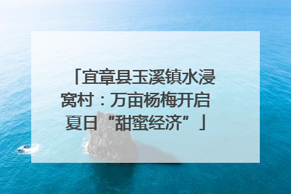 宜章县玉溪镇水浸窝村：万亩杨梅开启夏日“甜蜜经济”