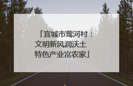 宜城市莺河村：文明新风润沃土 特色产业富农家