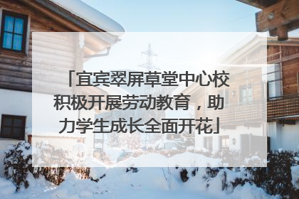 宜宾翠屏草堂中心校积极开展劳动教育，助力学生成长全面开花