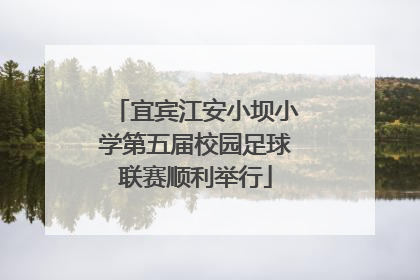 宜宾江安小坝小学第五届校园足球联赛顺利举行