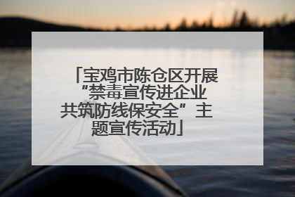 宝鸡市陈仓区开展“禁毒宣传进企业 共筑防线保安全”主题宣传活动