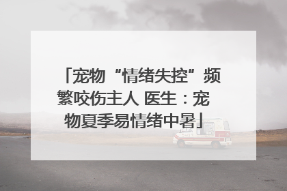 宠物“情绪失控”频繁咬伤主人 医生：宠物夏季易情绪中暑