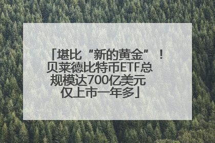 堪比“新的黄金”！贝莱德比特币ETF总规模达700亿美元 仅上市一年多