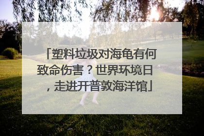 塑料垃圾对海龟有何致命伤害？世界环境日，走进开普敦海洋馆