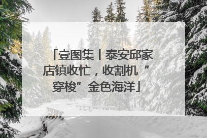 壹图集丨泰安邱家店镇收忙，收割机“穿梭”金色海洋