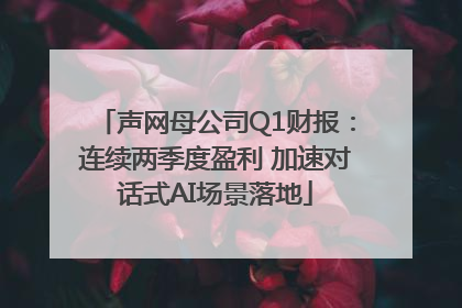 声网母公司Q1财报：连续两季度盈利 加速对话式AI场景落地