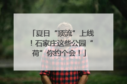 夏日“顶流”上线！石家庄这些公园“荷”你约个会！