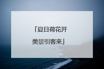 夏日荷花开 美景引客来