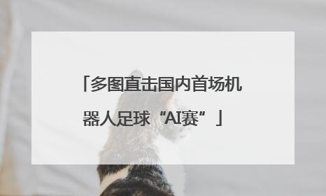 多图直击国内首场机器人足球“AI赛”