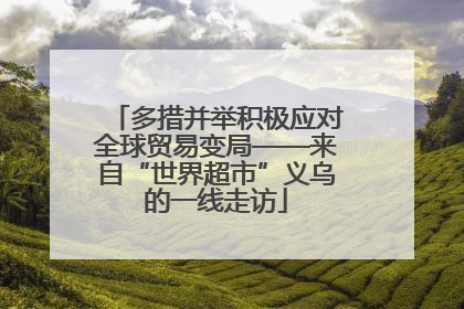 多措并举积极应对全球贸易变局——来自“世界超市”义乌的一线走访