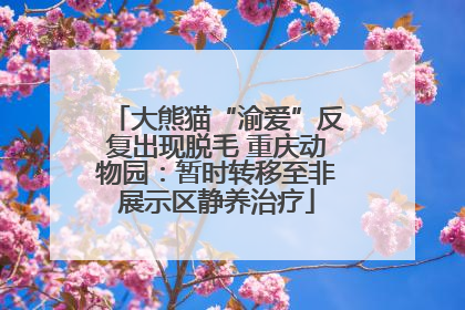 大熊猫“渝爱”反复出现脱毛 重庆动物园：暂时转移至非展示区静养治疗