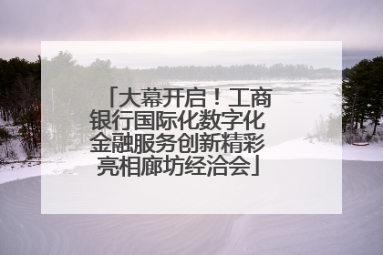 大幕开启！工商银行国际化数字化金融服务创新精彩亮相廊坊经洽会