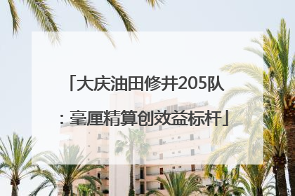 大庆油田修井205队：毫厘精算创效益标杆