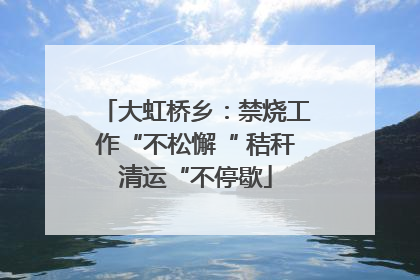 大虹桥乡：禁烧工作“不松懈“ 秸秆清运“不停歇