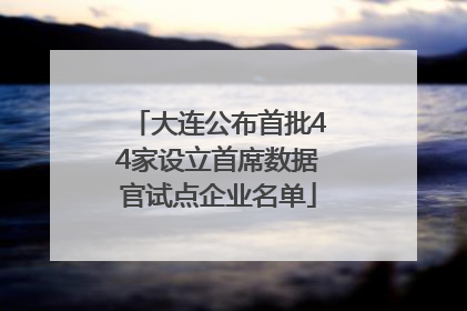 大连公布首批44家设立首席数据官试点企业名单