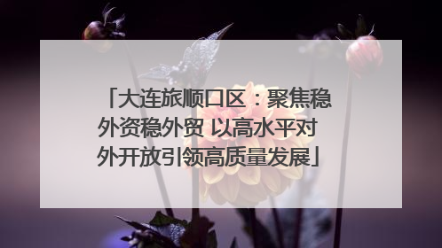 大连旅顺口区：聚焦稳外资稳外贸 以高水平对外开放引领高质量发展