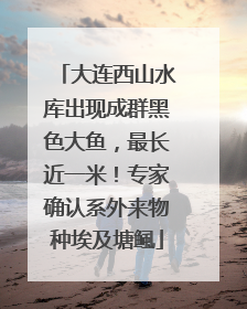 大连西山水库出现成群黑色大鱼，最长近一米！专家确认系外来物种埃及塘鲺