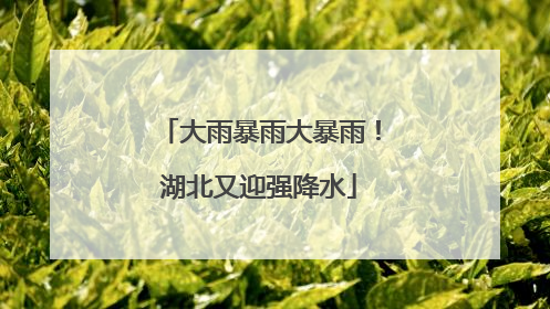 大雨暴雨大暴雨！湖北又迎强降水