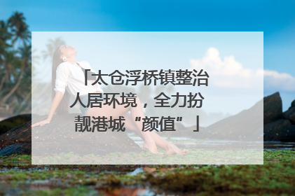 太仓浮桥镇整治人居环境，全力扮靓港城“颜值”