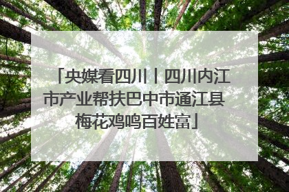 央媒看四川丨四川内江市产业帮扶巴中市通江县 梅花鸡鸣百姓富