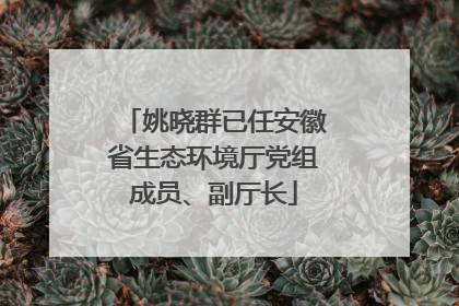 姚晓群已任安徽省生态环境厅党组成员、副厅长