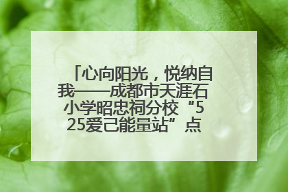 心向阳光，悦纳自我——成都市天涯石小学昭忠祠分校“525爱己能量站”点亮孩子心灵之旅