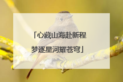 心藏山海赴新程 梦逐星河耀苍穹