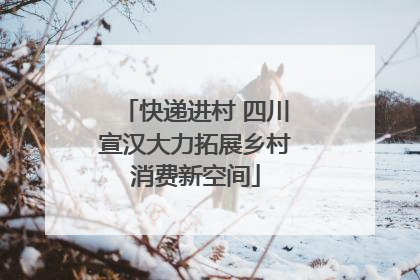 快递进村 四川宣汉大力拓展乡村消费新空间