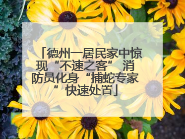 德州一居民家中惊现“不速之客” 消防员化身“捕蛇专家”快速处置