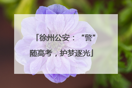 徐州公安：“警”随高考，护梦逐光