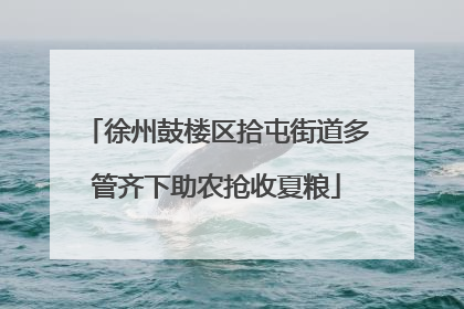 徐州鼓楼区拾屯街道多管齐下助农抢收夏粮