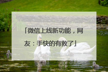 微信上线新功能，网友：手快的有救了