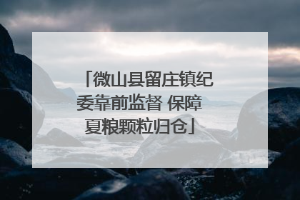 微山县留庄镇纪委靠前监督 保障夏粮颗粒归仓