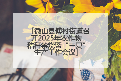 微山县傅村街道召开2025年农作物秸秆禁烧暨“三夏”生产工作会议