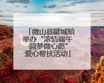 微山县驩城镇举办“浓情端午·圆梦微心愿”爱心帮扶活动