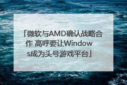 微软与AMD确认战略合作 高呼要让Windows成为头号游戏平台