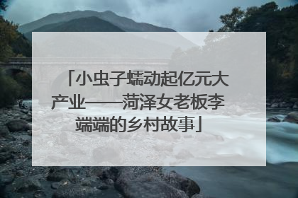 小虫子蠕动起亿元大产业——菏泽女老板李端端的乡村故事