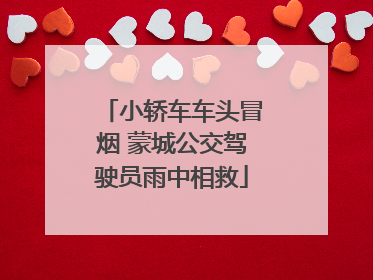 小轿车车头冒烟 蒙城公交驾驶员雨中相救