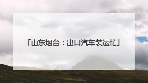 山东烟台：出口汽车装运忙