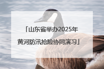 山东省举办2025年黄河防汛抢险协同演习
