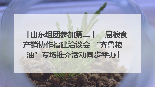 山东组团参加第二十一届粮食产销协作福建洽谈会 “齐鲁粮油”专场推介活动同步举办